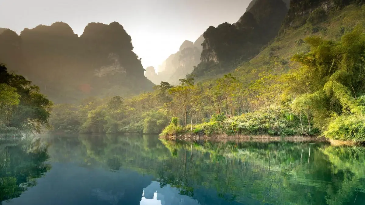 高标准独特